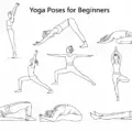 Top 10 Yoga Poses & Exercises for Beginners